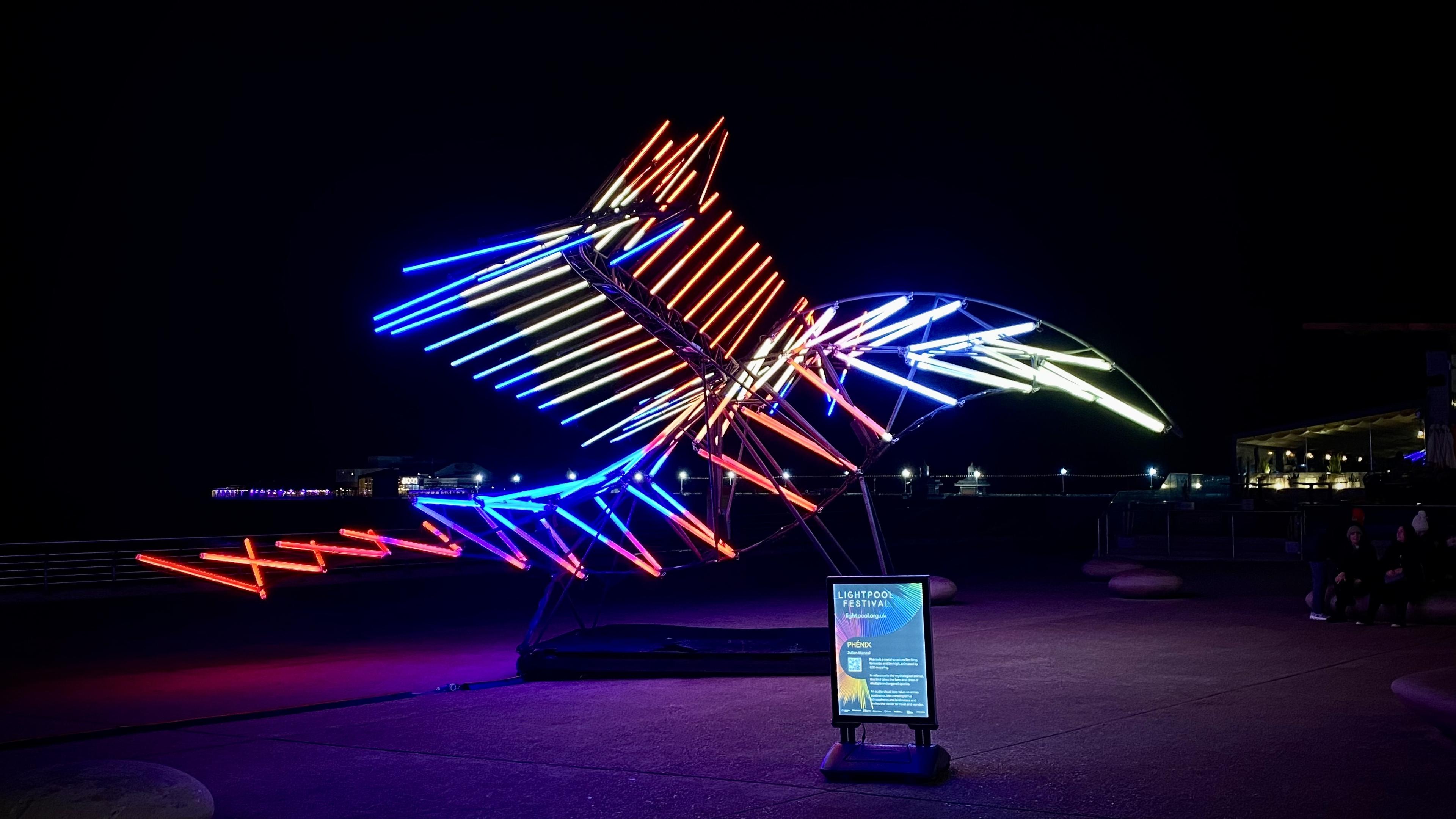 Large illuminated sculpture shaped like a bird in flight, built from red, blue, and yellow neon-style tubes, displayed outdoors at night with a sign reading "Lightpool Festival".